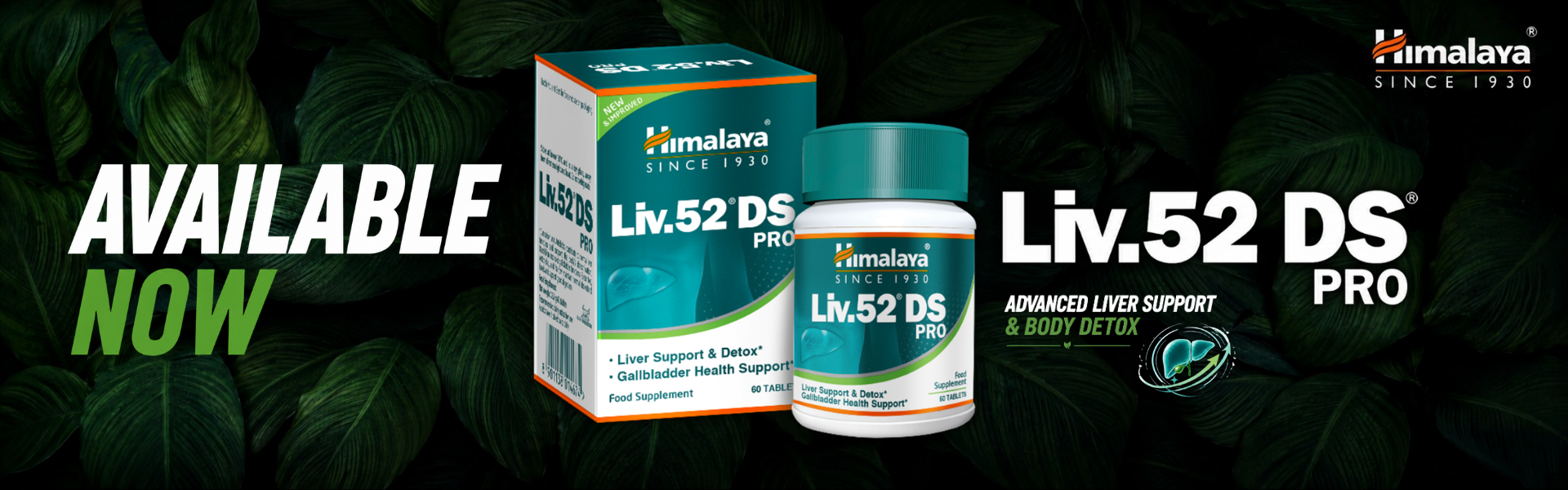 Himalaya